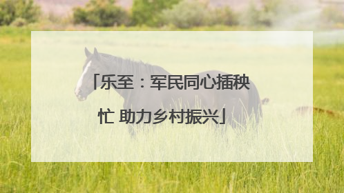 乐至：军民同心插秧忙 助力乡村振兴