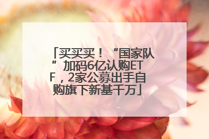 买买买！“国家队”加码6亿认购ETF，2家公募出手自购旗下新基千万
