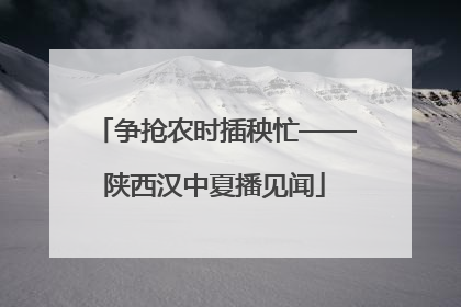 争抢农时插秧忙——陕西汉中夏播见闻