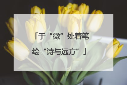 于“微”处着笔 绘“诗与远方”