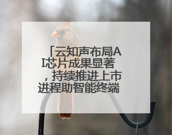 云知声布局AI芯片成果显著，持续推进上市进程助智能终端产业升级