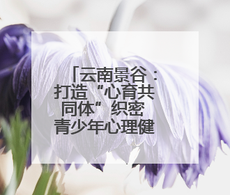 云南景谷：打造“心育共同体”织密 青少年心理健康防护网