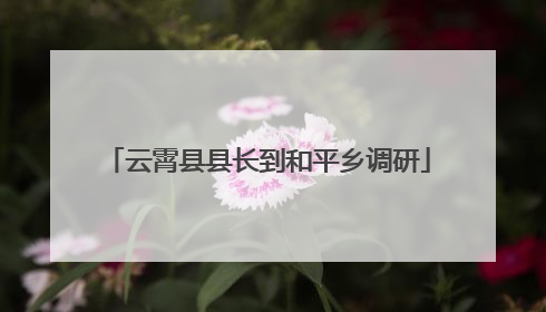 云霄县县长到和平乡调研