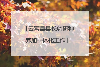 云霄县县长调研种养加一体化工作