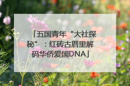 五国青年“大社探秘”：红砖古厝里解码华侨爱国DNA