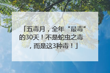 五毒月，全年“最毒”的30天！不是蛇虫之毒，而是这3种毒！