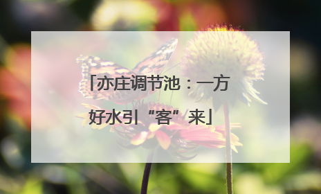 亦庄调节池：一方好水引“客”来