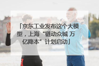 京东工业发布这个大模型，上海“链动众城 万亿降本”计划启动