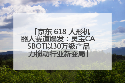 京东 618 人形机器人赛道爆发：灵宝CASBOT以30万级产品力搅动行业新变局
