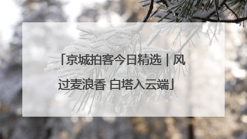 京城拍客今日精选｜风过麦浪香 白塔入云端