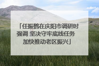 任振鹤在庆阳市调研时强调 坚决守牢底线任务 加快推动老区振兴