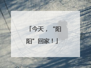 今天，“阳阳”回家！