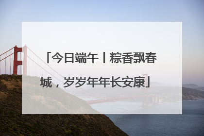 今日端午丨粽香飘春城，岁岁年年长安康