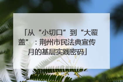 从“小切口”到“大覆盖”：荆州市民法典宣传月的基层实践密码