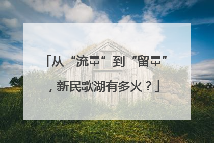 从“流量”到“留量”，新民歌湖有多火？