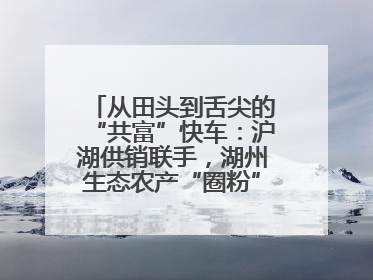 从田头到舌尖的“共富”快车：沪湖供销联手，湖州生态农产“圈粉”大上海