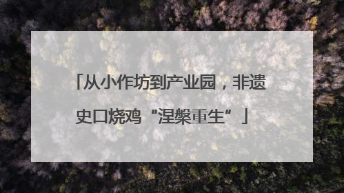 从小作坊到产业园，非遗史口烧鸡“涅槃重生”