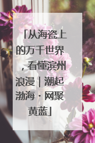 从海瓷上的万千世界，看懂滨州浪漫｜潮起渤海・网聚黄蓝