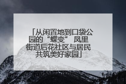 从闲置地到口袋公园的“蝶变” 凤里街道后花社区与居民共筑美好家园