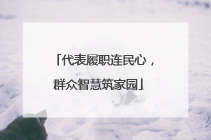 代表履职连民心，群众智慧筑家园