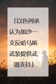 以色列承认为加沙一支反哈马斯武装提供武器支持