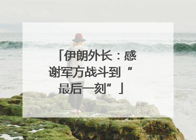 伊朗外长：感谢军方战斗到“最后一刻”