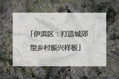 伊滨区：打造城郊型乡村振兴样板