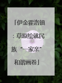 伊金霍洛镇：草原绘就民族“一家亲”和谐画卷