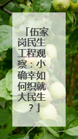 伍家岗民生工程观察：小确幸如何织就大民生？