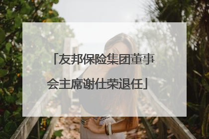 友邦保险集团董事会主席谢仕荣退任