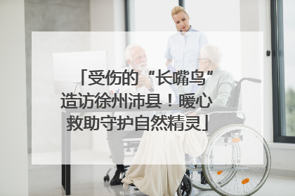 受伤的“长嘴鸟”造访徐州沛县！暖心救助守护自然精灵