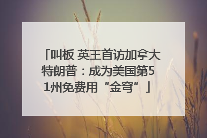 叫板 英王首访加拿大 特朗普：成为美国第51州免费用“金穹”