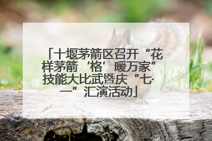 十堰茅箭区召开“花样茅箭‘格’暖万家”技能大比武暨庆“七·一”汇演活动