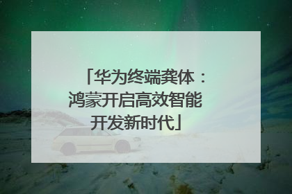 华为终端龚体：鸿蒙开启高效智能开发新时代
