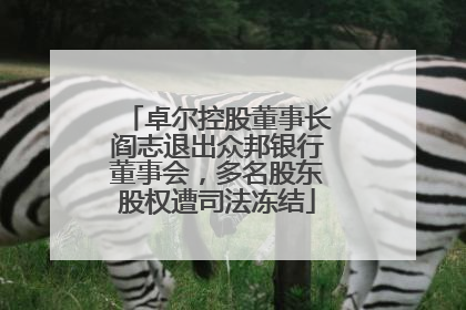卓尔控股董事长阎志退出众邦银行董事会，多名股东股权遭司法冻结