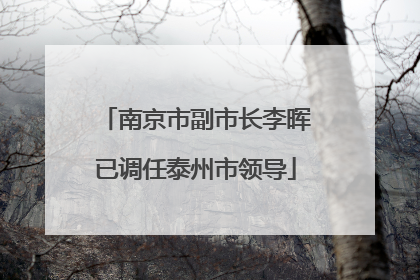 南京市副市长李晖已调任泰州市领导