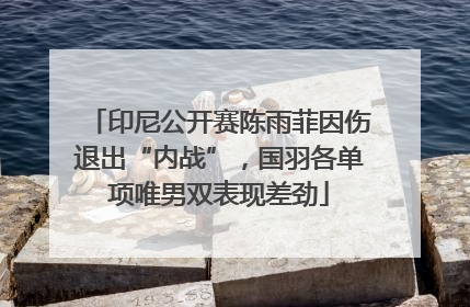印尼公开赛陈雨菲因伤退出“内战”，国羽各单项唯男双表现差劲