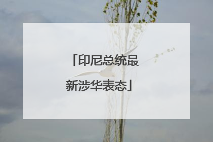 印尼总统最新涉华表态
