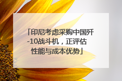 印尼考虑采购中国歼-10战斗机，正评估性能与成本优势