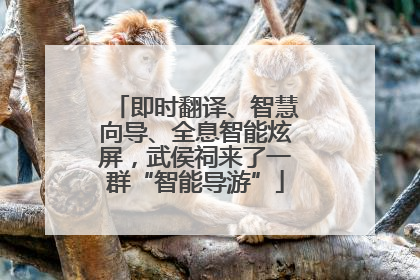即时翻译、智慧向导、全息智能炫屏，武侯祠来了一群“智能导游”
