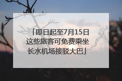 即日起至7月15日 这些旅客可免费乘坐长水机场接驳大巴