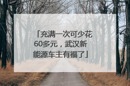 充满一次可少花60多元，武汉新能源车主有福了