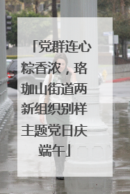 党群连心粽香浓，珞珈山街道两新组织别样主题党日庆端午
