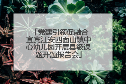 党建引领促融合 宜宾江安四面山镇中心幼儿园开展县级课题开题报告会