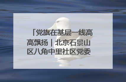 党旗在基层一线高高飘扬｜北京石景山区八角中里社区党委：用脚步丈量民生
