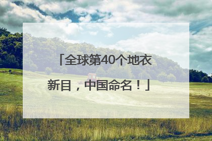 全球第40个地衣新目，中国命名！