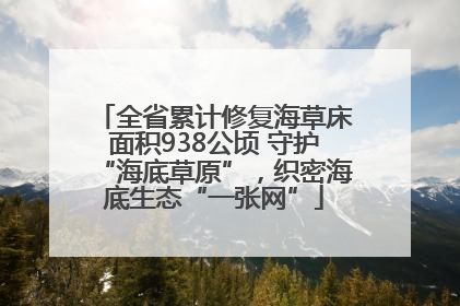 全省累计修复海草床面积938公顷 守护“海底草原”，织密海底生态“一张网”
