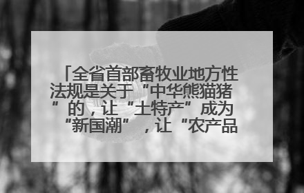 全省首部畜牧业地方性法规是关于“中华熊猫猪”的，让“土特产”成为“新国潮”，让“农产品”升格为“城市IP”