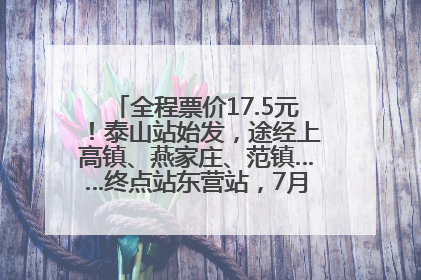 全程票价17.5元！泰山站始发，途经上高镇、燕家庄、范镇……终点站东营站，7月1日开通！