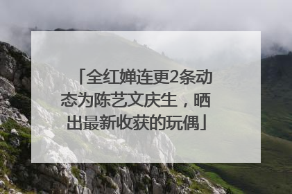 全红婵连更2条动态为陈艺文庆生，晒出最新收获的玩偶